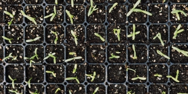 Ogretmenlere-Ek-Il-Tercihi-2-Subat8217ta-Basvurular-Basliyor-featured