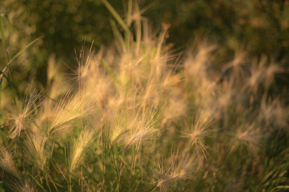 Alg-Cogalmasinda-Sicaklik-ve-Isigin-Kritik-Rolu-featured