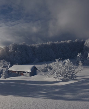 Bursa-Inegol8217de-Genclik-Cinayeti-16-Yasindaki-Firat-K.-Olduruldu-featured