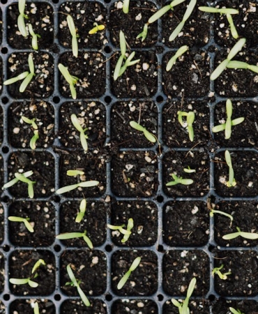 MEB8217den-Ogretmenlere-Yeni-Ek-Gelir-Modeli-Pilot-Uygulama-Basliyor-featured