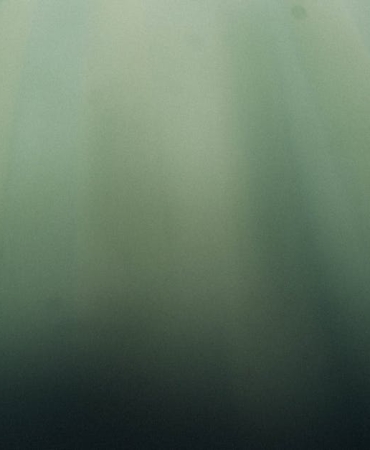 2026-LGS-Kilavuzu-Yayimlandi-Tum-Detaylar-Belli-Oldu-featured