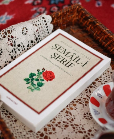 Cernobil8217in-Dogasi-Radyasyonun-Golgesinde-Yasamin-Inanilmaz-Direnci-featured