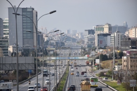 Valilik8217ten-Basibos-Kopek-Krizi-Belediyeler-Savcilik-Yolunda-featured